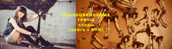 прущая мука Баксан