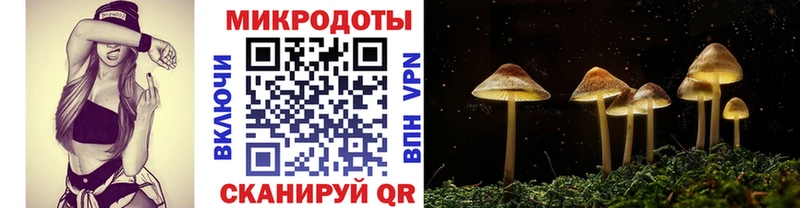 Псилоцибиновые грибы Psilocybine cubensis  Ессентуки 